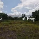 Ulu Choh Industrial Land For Sale In Pontian – 11 Acres - Photo 3 of 3