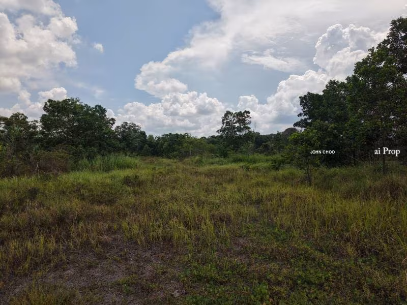 Pekan Nanas Industrial Land For Sale In Pontian - 11 Acres #1885 - Slide Photo 3
