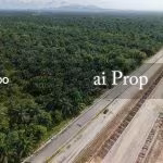Pekan Nanas Industrial-Zoned Land – 72 Acres - Photo 2 of 3