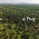 Pekan Nanas Industrial-Zoned Land – 72 Acres - Photo 3 of 3