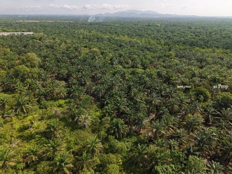Pekan Nanas Industrial Land For Sale In Pontian - 72 Acres #1883 - Slide Photo 3