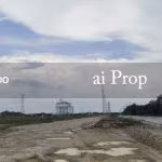 Pekan Nanas Agricultural Land – 15 Acres - Photo 2 of 2