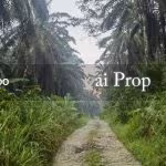 Seelong Jaya Converted Industrial Land – 8 Acres - Photo 3 of 3