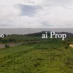 Kelapa Sawit Industrial Land For Sale In Kulai – 165 Acres - Photo 1 of 2