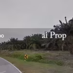 Pagoh Agricultural Land For Sale In Muar – 1526 Acres - Photo 1 of 1