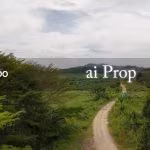 Kelapa Sawit Industrial Land For Sale In Kulai – 165 Acres - Photo 2 of 2