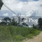 Ulu Choh Industrial Land For Sale In Pulai – 11 Acres - Photo 1 of 2