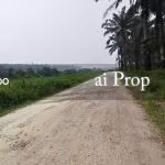 Kulai Agricultural Land For Sale In Johor – 16.72 Acres - Photo 1 of 5