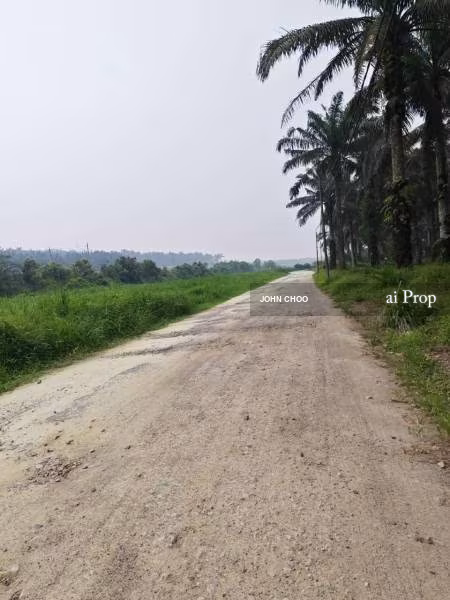 Kulai Agricultural Land For Sale In Johor - 16.72 Acres #2398 - Slide Photo 1