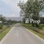 Tanjung Kupang Agricultural Land For Rent In Iskandar Puteri – 9.5 Acres - Photo 1 of 1