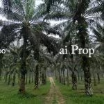 Kulai Agricultural Land For Sale In Johor – 16.72 Acres - Photo 2 of 5