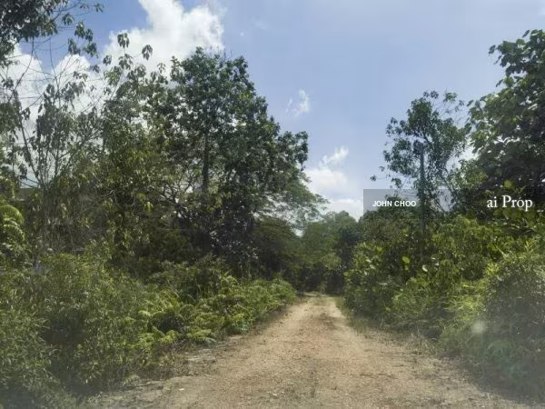 Ulu Choh Industrial Land For Sale In Pulai – 11 Acres site view