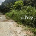 Ulu Choh Industrial Land For Sale In Pulai – 11 Acres - Photo 2 of 2