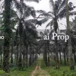 Kulai Agricultural Land For Sale In Johor – 16.72 Acres - Photo 3 of 5