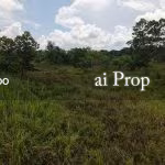 Seelong Jaya Industrial Land For Rent In Senai – 3 Acres - Photo 2 of 2